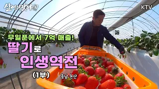 (살어리랏다5) 1부 - 무일푼에서 7억 매출! 딸기로 인생역전 koreatv, organic, Strawberry, Agriculture, farm (충남 논산)