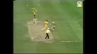 Heated scenes as Craig McDermott and Andrew Jones clash at the SCG in an ODI 1987/88