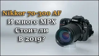 Объектив Nikon Nikkor AF 70-300mm f4-5.6G Стоит ли в 2019? Обзор и тест