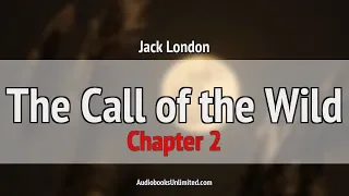 The Call of the Wild Audiobook Chapter 2
