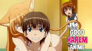 Top 10 Good Harem Anime You Need To Watch