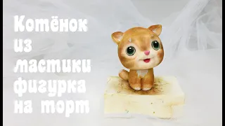 Котёнок_kitty_gatinho