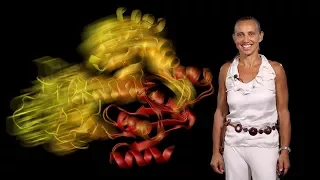Dorothee Kern (Brandeis, HHMI) 1: Visualizing Protein Dynamics