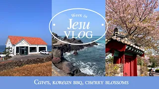A WEEK in JEJU ISLAND, South Korea Vlog - Cafes, Korean BBQ & Cherry Blossoms