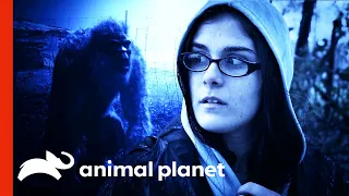 This Woman Came Face-To-Face With Bigfoot | Finding Bigfoot