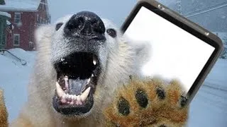 Polar bear attack: man escapes using mobile-phone in Canada