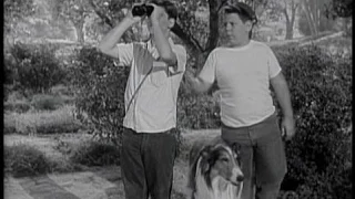 Lassie - Episode #92 - "The Bird Watchers" - Season 3, Ep. 27 - 03/10/1957