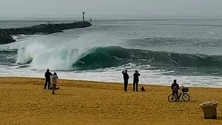 THE WEDGE, OPENING SEASON SWELL 2024: Makes & Misses