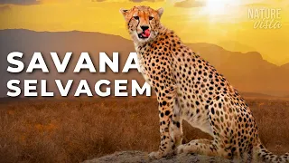 SAVANA AFRICANA | Predadores Brutais e Natureza Épica - DOCUMENTÁRIO COMPLETO