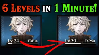 How to Level Up FAST in Triangle Strategy!