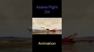 Plane Crashes Animation Vs Real (Part 2)  #aviation  #fypシ   #plane