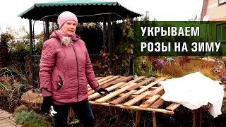 Обрезка роз осенью. Три способа укрытия роз на зиму.