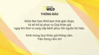 Bảng thông báo kênh Nat Geo Wild tạm thời dừng phát sóng tại Việt Nam từ 1/4/2023 từ bên Msky