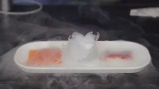 AnchorChef  Dry Ice Maker Pro