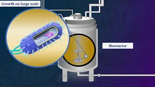 Recombinant DNA Technology - Animated Video