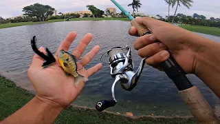 INSANE TARPON Fishing in RainStorm