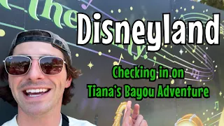 Disneyland's Tiana's Bayou Adventure Progress