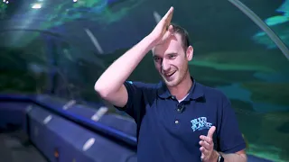 Blue Planet Aquarium - Shark Dive Episode 3