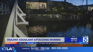 Violent assailant attacking women in Venice