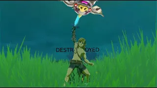 Lore Accurate Link vs Silver Bokoblin #totk