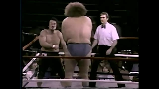 Mr Fuji vs Andre The Giant 1984