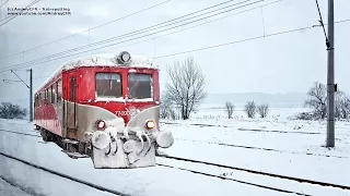 Călătorie cu trenul iarna / Winter Train Ride @ Dornești - Suceava