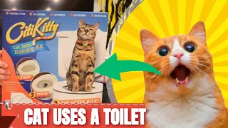 CitiKitty Cat Toilet Training Kit: The Secret to a Mess-Free Home