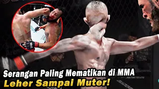 Serangan Paling Mematikan di MMA! Wajah Petarung ini Sampai REMUK Disikut Brutal