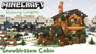 Minecraft Longplay | Cozy Cabin in the Snow