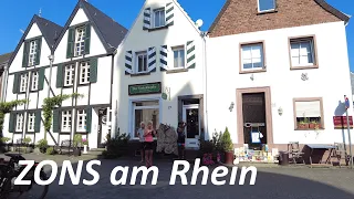 Zons am Rhein | August 2023