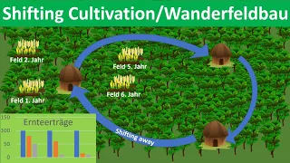 Shifting Cultivation/Wanderfeldbau [Erdkunde, Mittel- und Oberstufe]