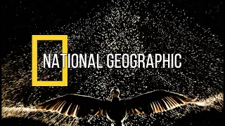The best photos of 2017 according to National Geographic