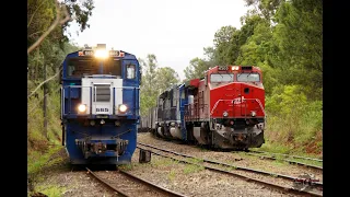 Um dia de muitos trens - Ponta Grossa/PR - Várias locomotivas