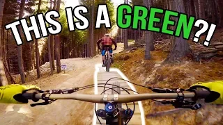 The ONLY Green MTB Trail in Queenstown Bike Park - Hammy's Track POV