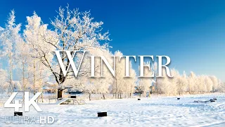 Winter Wonderland 4K - Scenic Relaxation Film with Calming Music (4K Video Ultra)