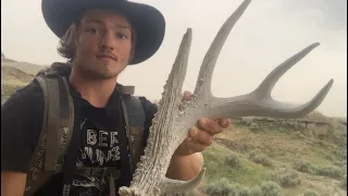 Shed Hunting 2023!~Toad Whitetail & Dead Elk!