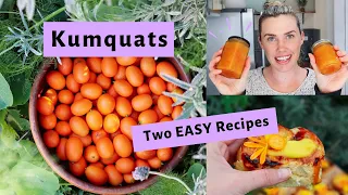 Easy KUMQUAT Jam Recipe // Plus Kumquat and Custard Scroll Recipe