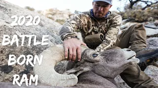 Nevada Desert Bighorn Sheep Hunt - 2020 Battle Born Ram