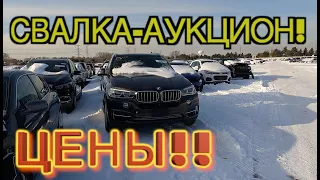 Авто аукцион КОПАРТ BMW X5 за пол цены!! Copart свалка в США