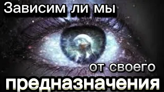 Есть ли предназначение на самом деле ?/В чем заключается предназначение человека?