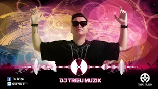 NHẠC NGHE TRÊN XE VOL 1 CỦA DJ TRIỆU MUZIK