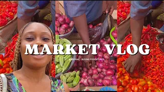 Market Vlog: Current Cost Of Foodstuffs In The Nigerian Market🇳🇬