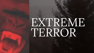 INFRASOUND & BIGFOOT | Extreme Terror During Encounters | Mountain Beast Mysteries 68