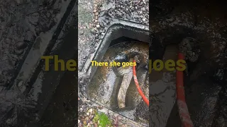 Clogged manhole away she goes