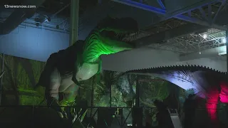 Jurassic Quest: A look at 'the land before time' underway in Hampton