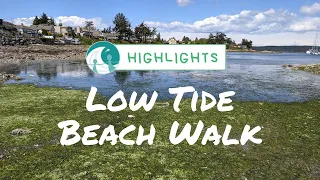 IG Livestream Highlights: Low Tide Beach Walk (Sidney, B.C.)