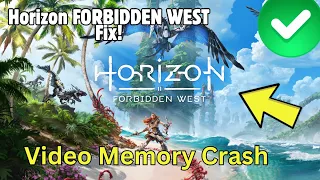 Fix Horizon Forbidden West Complete Edition Video Memory Crash