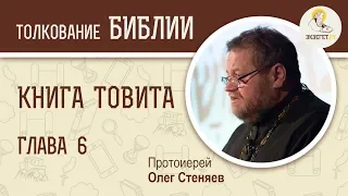 Книга Товита. Глава 6. Протоиерей Олег Стеняев. Библия. Ветхий Завет