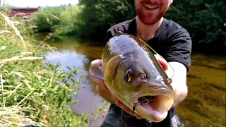 Baby Frog and Mouse Topwater Lures get Crushed!