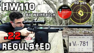 Weihrauch HW 110 .22 Air Rifle + 50 & 100 Yard Accuracy TEST + FULL REVIEW - Regulated PCP Airgun